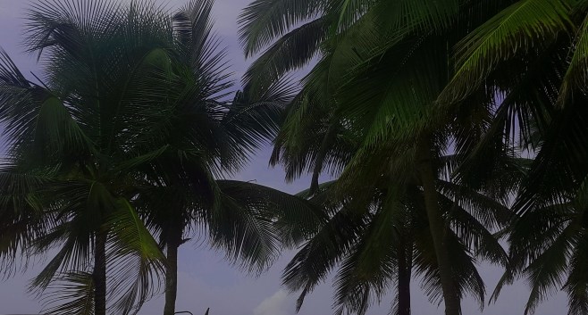 20160530_083847 copie